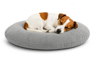 Flamingo Baleno Hundebett und Katzenbett Oval Grau 60 x 50 x 8 cm mit abnehmbarem Bezug und waschbarem Stoff – Bild 1 von 2