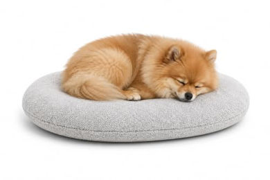 Flamingo Baleno Hundebett und Katzenbett Oval Hellgrau 50 x 40 x 8 cm mit abnehmbarem Bezug – Bild 1 von 2