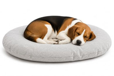 Flamingo Baleno Hundebett und Katzenbett Oval Hellgrau 80 x 62 x 8 cm mit abnehmbarem Bezug – Bild 1 von 2