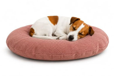 Flamingo Baleno Hundebett und Katzenbett Oval Rot 60 x 50 x 8 cm mit abnehmbarem Bezug – Bild 1 von 2