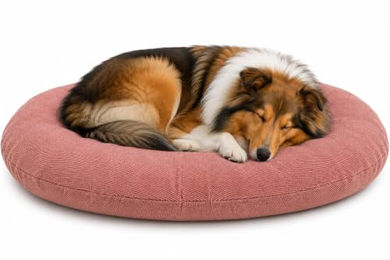 Flamingo Baleno Hundebett und Katzenbett Oval Rot 90 x 66 x 10 cm mit abnehmbarem Bezug – Bild 1 von 3