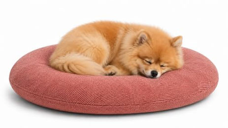 Flamingo Baleno Oval Hundebett und Katzenbett Rot 50 x 40 x 8 cm mit abnehmbarem Bezug – Bild 1 von 3