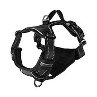 Produktbild von Flamingo Balou Hundegeschirr aus Nylon Schwarz Größe XL für große Hunde