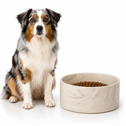 Flamingo Baron Hundenapf aus Keramik rund grau 750 ml für mittelgroße Hunde - 750 ml – Bild 1 von 4