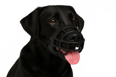 Flamingo Benzo Maulkorb XL aus Silikon für große Hunde in Schwarz – Bild 1 von 6