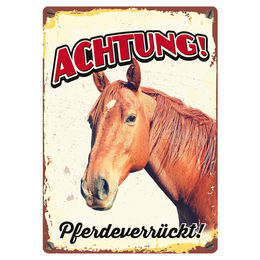 Flamingo Blechschild Pferdeverrückt im Hochformat 14,8 x 21 cm – Bild 1 von 1