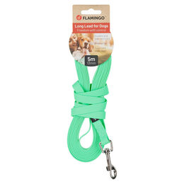 Produktbild von Flamingo Caspar Hundeschleppleine aus Biothane in Mintgrün mit Handschlaufe 5m - 5 m
