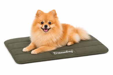 Flamingo Dreambay Orthopädisches Hundekissen mit Memory Foam in Olivgrün – Bild 1 von 5