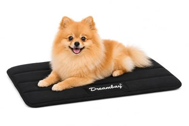 Flamingo Dreambay Orthopädisches Hundekissen und Katzenbett mit Memory Foam schwarz 55,5x38,5x2,3cm – Bild 1 von 6
