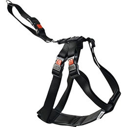 Flamingo Duma Autosicherheitsgeschirr für Hunde Schwarz Nylon Größe L 50-70cm – Bild 1 von 6