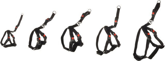 Flamingo Duma Sicherheitsgeschirr für Hunde Schwarz Nylon XS – Bild 1 von 2