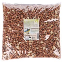 Flamingo Four Seasons geschälte Erdnüsse für Wildvögel 3 kg - 3 kg – Bild 1 von 3