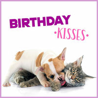Produktbild von Flamingo Geburtstagskarte Birthday Kisses 13,7 x 13,7 cm