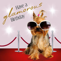 Produktbild von Flamingo Geburtstagskarte Have a Glamorous Birthday aus FSC-zertifiziertem Karton 13,7 x 13,7 cm