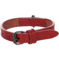 Produktbild von Flamingo Halsband aus Leder in Rot Größe XS