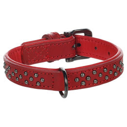 Flamingo Halsband Denver mit Nieten in Rot Größe S – Bild 1 von 3