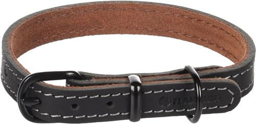 Flamingo Halsband Montana aus Leder Schwarz Größe S 29,5-35,5cm – Bild 1 von 5