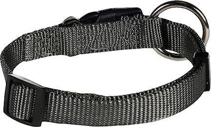 Flamingo Halsband ZIGGI Dunkelgrau Größe S 30-45cm 15mm – Bild 1 von 2