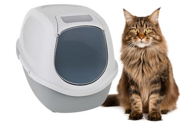 Flamingo Haubentoilette Trini Katzentoilette XL Grau aus Kunststoff – Bild 1 von 10