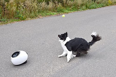 Flamingo HS Elton Interaktives Hundespielzeug zum Apportieren und für Leckerlis inklusive Tennisbälle – Bild 1 von 9