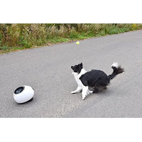 Produktbild von Flamingo HS Elton Interaktives Hundespielzeug zum Apportieren und für Leckerlis inklusive Tennisbälle
