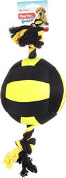 Flamingo HS MATCHBALL Aqua Hühnerstall-Zubehör Bällchen aus Kunststoff Schwarz/Gelb 18cm – Bild 1 von 3