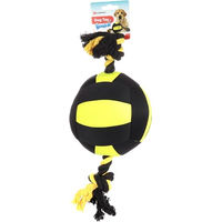 Produktbild von Flamingo HS MATCHBALL Aqua Hühnerstall-Zubehör Bällchen aus Kunststoff Schwarz/Gelb 18cm
