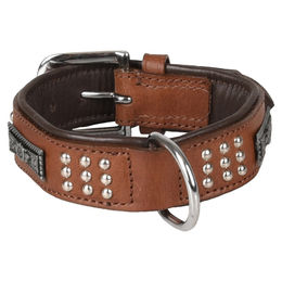 Flamingo Hunde Halsband Sedona Leder mit Nieten Braun Größe S 26-31 cm – Bild 1 von 4