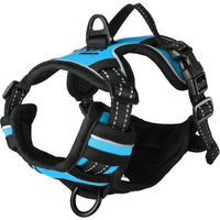 Produktbild von Flamingo Hundegeschirr Balou Blau Nylon Größe S 40-55cm
