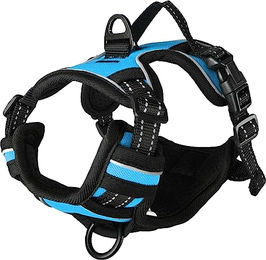 Flamingo Hundegeschirr Balou Blau XS aus Nylon für Welpen und kleine Hunde - 15 mm – Bild 1 von 8