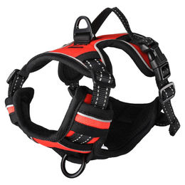 Flamingo Hundegeschirr Balou Y-Geschirr aus Nylon Rot Größe XL – Bild 1 von 9