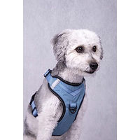 Produktbild von Flamingo Hundegeschirr Blau Größe L 46-61cm 25mm
