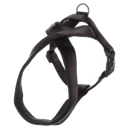 Flamingo Hundegeschirr Cross Abbi Schwarz Baumwolle Größe S – Bild 1 von 3