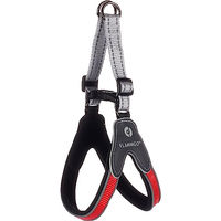 Produktbild von Flamingo Hundegeschirr XS Rot
