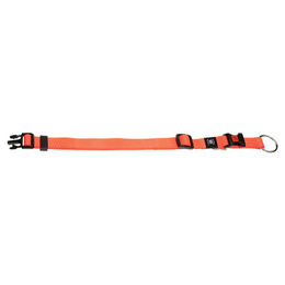 Flamingo Hundehalsband aus Nylon in Orange 30-45 cm – Bild 1 von 1