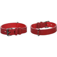 Produktbild von Flamingo Hundehalsband Denver gepolstert und breit in Rot mit Velours, Größe M/L