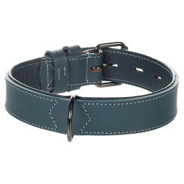 Flamingo Hundehalsband Denver Leder gepolstert und breit Blau Größe M – Bild 1 von 4