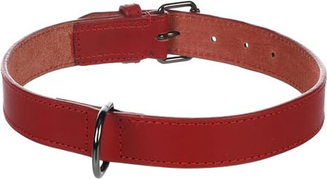 Flamingo Hundehalsband Denver Rot Kunststoff XXL 52-62cm 30mm – Bild 1 von 5