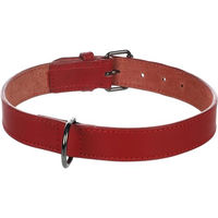 Produktbild von Flamingo Hundehalsband Denver Rot Kunststoff XXL 52-62cm 30mm