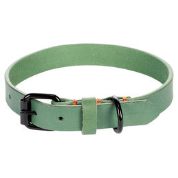 Flamingo Hundehalsband Leano aus Leder Grün 36-44 cm – Bild 1 von 5