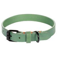 Produktbild von Flamingo Hundehalsband Leano aus Leder Grün 36-44 cm