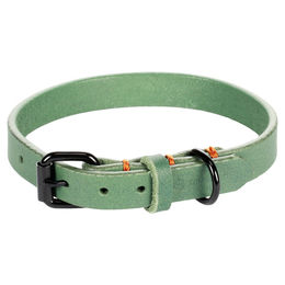 Flamingo Hundehalsband Leano aus Leder grün Größe S 29-35 cm – Bild 1 von 3