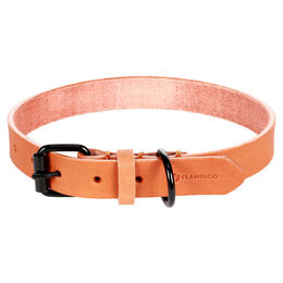 Produktbild von Flamingo Hundehalsband Leano Leder cognac 43 - 53 cm 25 mm