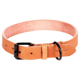 Flamingo Hundehalsband Leano Leder Cognac XL 47-57 cm 30 mm – Bild 1 von 3