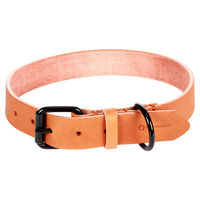 Produktbild von Flamingo Hundehalsband Leano Leder Cognac XL 47-57 cm 30 mm