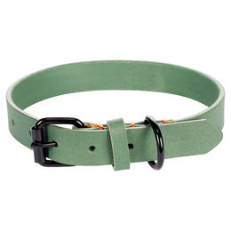 Flamingo Hundehalsband Leano Leder Grün 38-48 cm – Bild 1 von 5