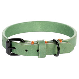 Flamingo Hundehalsband Leano Leder Grün XS/S 24-30 cm 15 mm – Bild 1 von 5