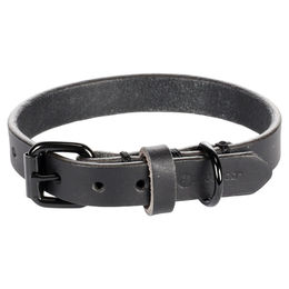 Flamingo Hundehalsband Leano Leder Schwarz XS/S 24-30 cm 15 mm – Bild 1 von 3