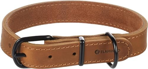 Flamingo Hundehalsband Montana aus Leder in Cognac Braun Größe M/L 38,5-48,5 cm – Bild 1 von 5
