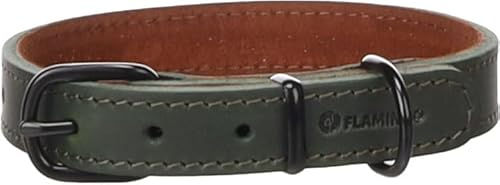Flamingo Hundehalsband Montana aus Leder in Grün Größe M – Bild 1 von 3